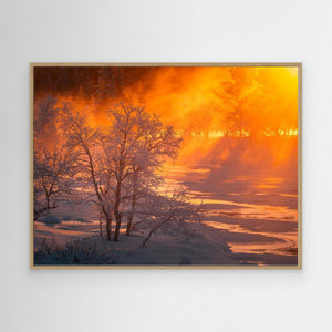 Grövlan i morgonljus - CANVAS