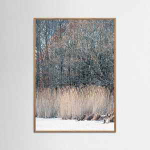 i vinterlandskap Stora Amundön Göteborg – Fotokonst | Fine Art Print