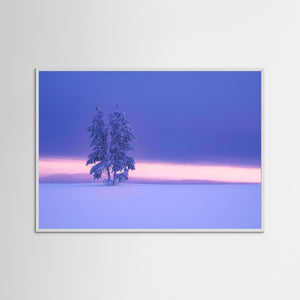 Vintermorgon i Grövelsjöfjällen