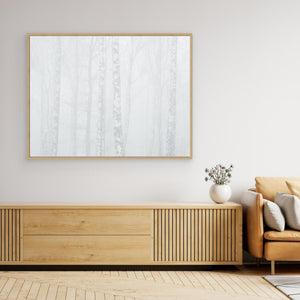 Dimma i björkskog vid Balltorp, Mölndal – vinterlandskap | Canvas