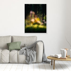 Skogens hemliga ljus - CANVAS