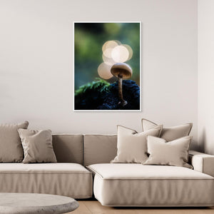 Skogens små världar – Ramberget, Hisingen | Canvas