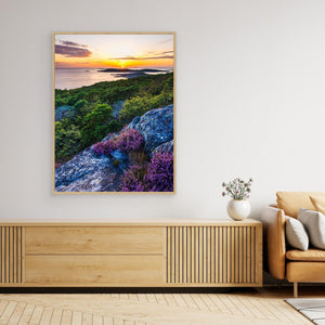 Halland – Särö Västerskog i solnedgång | Canvas