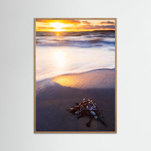 Solnedgång vid Stråvalla strand i Halland – hav och kust | Fine Art Print