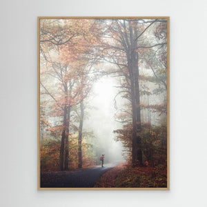 Dimma vid skogsvägen - CANVAS