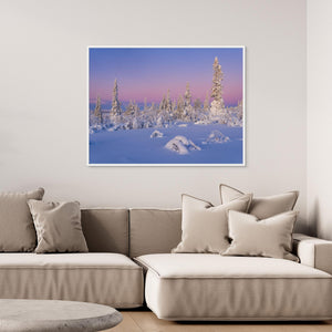 Vintermorgon i Lofsdalsfjällen – snöklädda fjällbjörkar | Canvas
