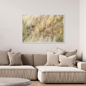 Vesslunda Naturreservat Falkenberg – Sanddynor & Gräs | Canvas