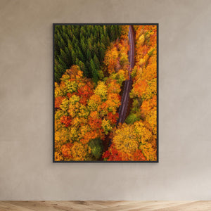 Höstens färgflod – Tostaredsvägen - CANVAS