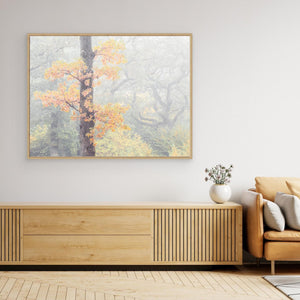 Dimma bland ekarna – Krokängsparken, Göteborg | Canvas
