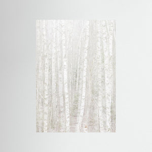 Änggårdsbergen i stillhet – Björkar i dubbelexponering | Fine Art Print