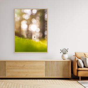 Liten i det stora - CANVAS