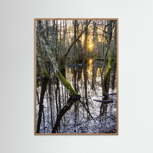 Solnedgång i Särö Västerskog – Kungsbacka | Fine Art Print