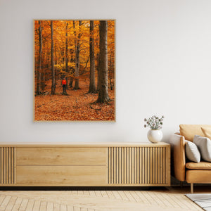 Höstfärger i bokskog – Svejserdalen Mölndal | Canvas