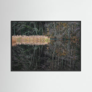 Novemberstillhet vid Kvarndammen