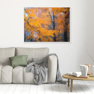 Gyllene höst i Svejserdalen - CANVAS