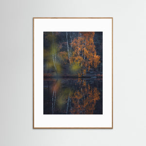 Höst vid Trinde mosse – Änggårdsbergen Göteborg | Fine Art Print