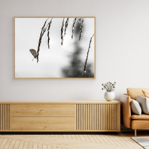 Fjäril på grässtrå vid Kvitåvatn – Telemark, Norge | Canvas
