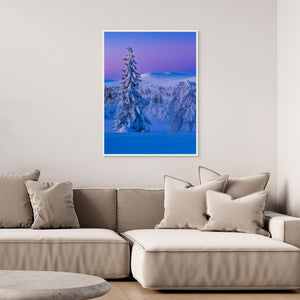 Vintervidder i Dalarna - CANVAS