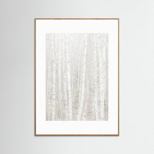 Änggårdsbergen i stillhet – Björkar i dubbelexponering | Fine Art Print