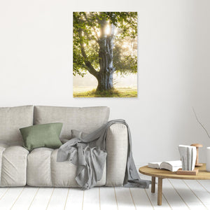 Morgonljus i Nääs slottspark – Lerums kommun | Canvas