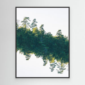 Svävande skog - CANVAS