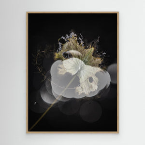 Dubbelexponering av näckrosblad - CANVAS