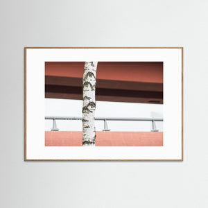 Göteborg – björkstam framför Röde orm i Gamlestaden | Fine Art Print
