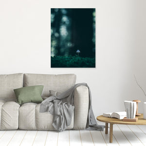 Liten svamp i mossan – Herkulesskogen i Mölndal | Canvas
