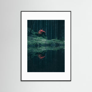 Herkulesskogen – Mystisk skog i Mölndal | Fine Art Print