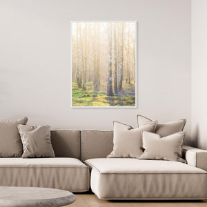 Björkskog i morgonljus – Ellesbo Hisingen | Canvas