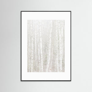 Änggårdsbergen i stillhet – Björkar i dubbelexponering | Fine Art Print