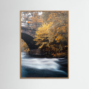 Höst vid Säveån – Lerums kommun | Fine Art Print