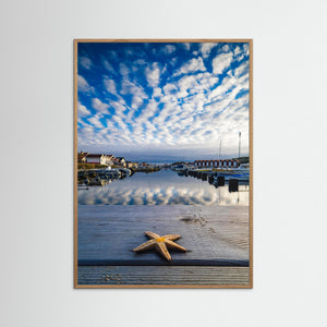 Sjöstjärna vid Fotö hamn – Göteborgs skärgård | Fine Art Print