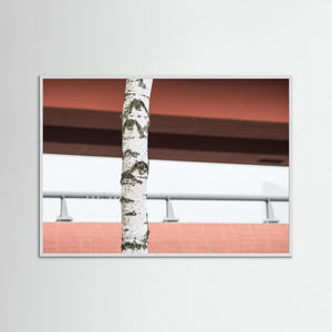 Göteborg – björkstam framför Röde orm i Gamlestaden | Fine Art Print