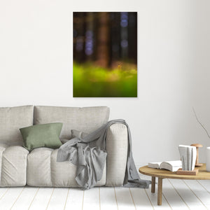Mossa i Herkulesskogen – Naturfoto från Mölndal | Canvas