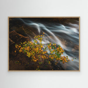 Höst vid Livsäterån - CANVAS