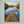 Stillhet i Svartedalen - CANVAS