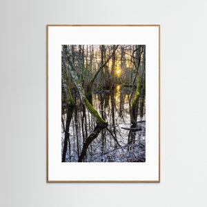 Solnedgång i Särö Västerskog – Kungsbacka | Fine Art Print