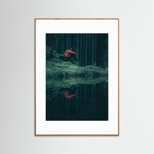 Herkulesskogen – Mystisk skog i Mölndal | Fine Art Print