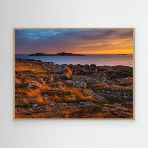 Sommarkväll vid Årnäsudden - CANVAS