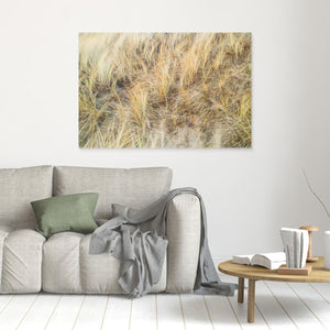 Vesslunda Naturreservat Falkenberg – Sanddynor & Gräs | Canvas