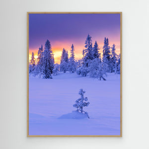 Vinterlandskap i Lofsdalsfjällen – Härjedalen | Canvas