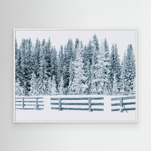 Snöfångare vid Lövåsen - CANVAS