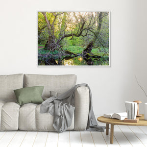 Vid sumpskogens kant - CANVAS