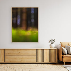 Mossa i Herkulesskogen – Naturfoto från Mölndal | Canvas