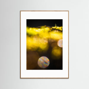 Vårbokeh i Särö Västerskog – Särö, Kungsbacka kommun | Fine Art Print
