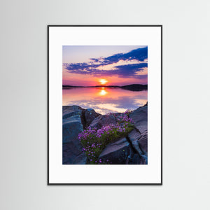 Blommande trift vid Billdal – Göteborgs kust | Fine Art Print