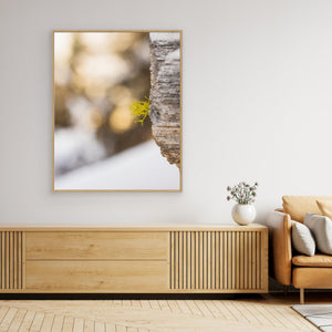 Varglav vid Storsätern – Grövelsjöfjällen, Dalarna | Canvas
