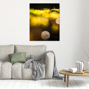 Vårbokeh i Särö Västerskog – Särö, Kungsbacka kommun | Canvas
