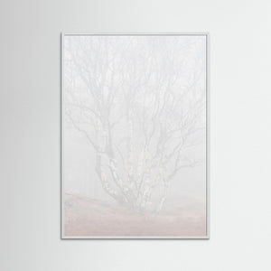 Dimma i Änggårdsbergen – Naturfoto från Göteborg | Fine Art Print